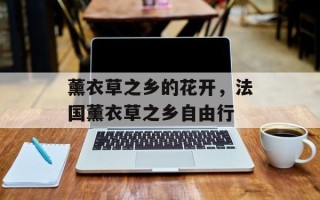 薰衣草之乡的花开，法国薰衣草之乡自由行