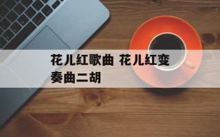 花儿红歌曲 花儿红变奏曲二胡