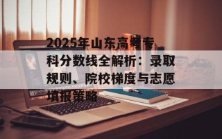 2025年山东高考专科分数线全解析：录取规则、院校梯度与志愿填报策略