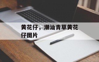 黄花仔，潮汕青草黄花仔图片