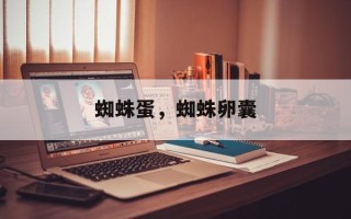 蜘蛛蛋，蜘蛛卵囊