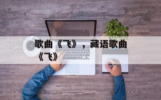 歌曲《飞》，藏语歌曲《飞》