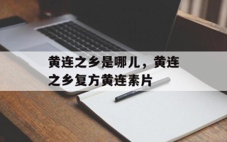 黄连之乡是哪儿，黄连之乡复方黄连素片