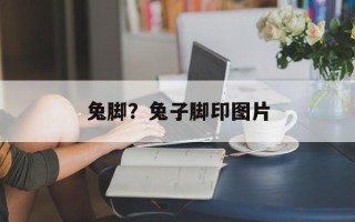 兔脚？兔子脚印图片