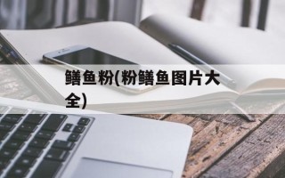 鳝鱼粉(粉鳝鱼图片大全)