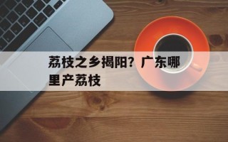 荔枝之乡揭阳？广东哪里产荔枝