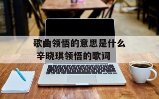 歌曲领悟的意思是什么 辛晓琪领悟的歌词