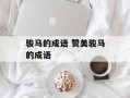 骏马的成语 赞美骏马的成语