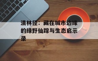 清林径：藏在城市边缘的绿野仙踪与生态启示录