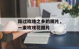 路过玫瑰之乡的图片，一束玫瑰花图片