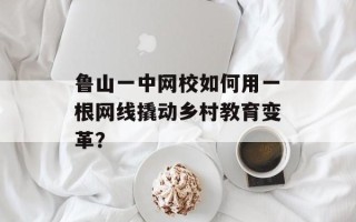 鲁山一中网校如何用一根网线撬动乡村教育变革？