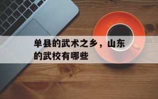 单县的武术之乡，山东的武校有哪些