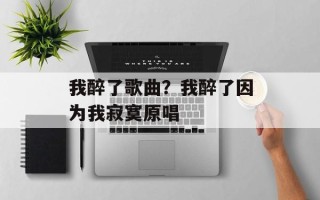 我醉了歌曲？我醉了因为我寂寞原唱