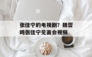 张佳宁的电视剧？魏哲鸣张佳宁见面会视频