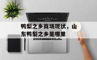鸭梨之乡商场现状，山东鸭梨之乡是哪里
