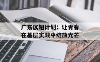 广东展翅计划：让青春在基层实践中绽放光芒