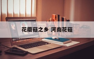 花蘑菇之乡 河南花菇