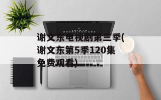 谢文东电视剧第三季(谢文东第5季120集免费观看)