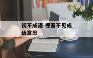 视不成语 视而不见成语意思