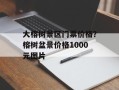 大榕树景区门票价格？榕树盆景价格1000元图片