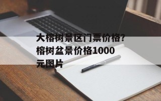 大榕树景区门票价格？榕树盆景价格1000元图片