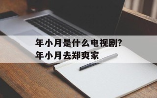 年小月是什么电视剧？年小月去郑爽家