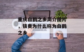 重庆白鹤之乡简介图片，镇赉为什么称为白鹤之乡
