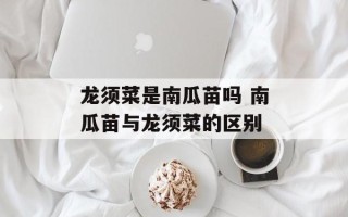 龙须菜是南瓜苗吗 南瓜苗与龙须菜的区别