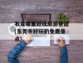 石龙哪里好玩旅游景区(东莞市好玩的免费景点)