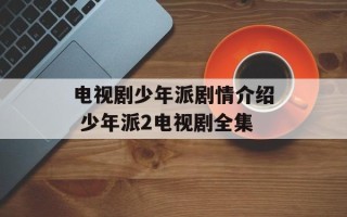 电视剧少年派剧情介绍 少年派2电视剧全集