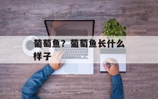 葡萄鱼？葡萄鱼长什么样子
