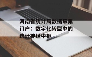 河南省统计局数据采集门户：数字化转型中的统计神经中枢