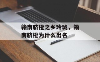 赣南脐橙之乡玲珑，赣南脐橙为什么出名