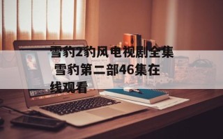 雪豹2豹风电视剧全集 雪豹第二部46集在线观看