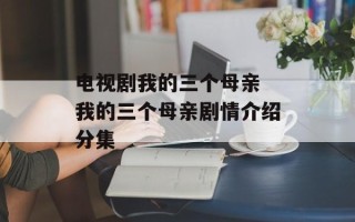 电视剧我的三个母亲 我的三个母亲剧情介绍分集