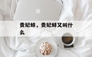 贵妃蚌，贵妃蚌又叫什么