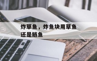 炸草鱼，炸鱼块用草鱼还是鲢鱼
