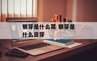 银芽是什么菜 银芽是什么豆芽