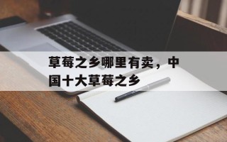 草莓之乡哪里有卖，中国十大草莓之乡