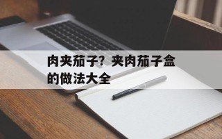 肉夹茄子？夹肉茄子盒的做法大全