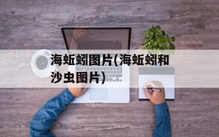 海蚯蚓图片(海蚯蚓和沙虫图片)