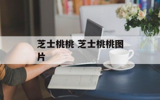 芝士桃桃 芝士桃桃图片