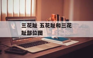 三花趾 五花趾和三花趾部位图