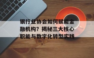 银行业协会如何赋能金融机构？揭秘三大核心职能与数字化转型实践