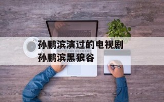 孙鹏滨演过的电视剧 孙鹏滨黑狼谷