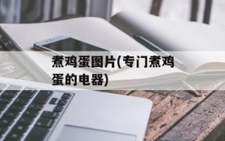 煮鸡蛋图片(专门煮鸡蛋的电器)