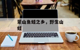 蒙山鱼蛙之乡，野生山蛙