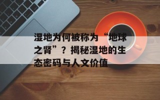 湿地为何被称为“地球之肾”？揭秘湿地的生态密码与人文价值