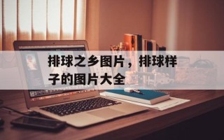 排球之乡图片，排球样子的图片大全