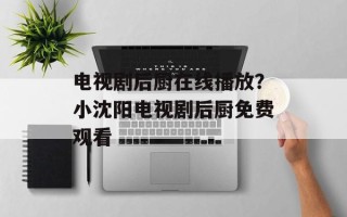 电视剧后厨在线播放？小沈阳电视剧后厨免费观看